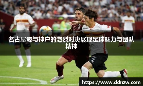 芒果体育新版本